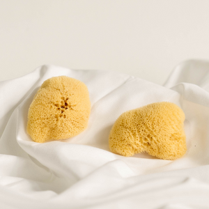 Natural Fine Silk Sea Sponges - 2 Pcs