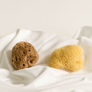 Natural Fine Silk Sea Sponges - 2 Pcs